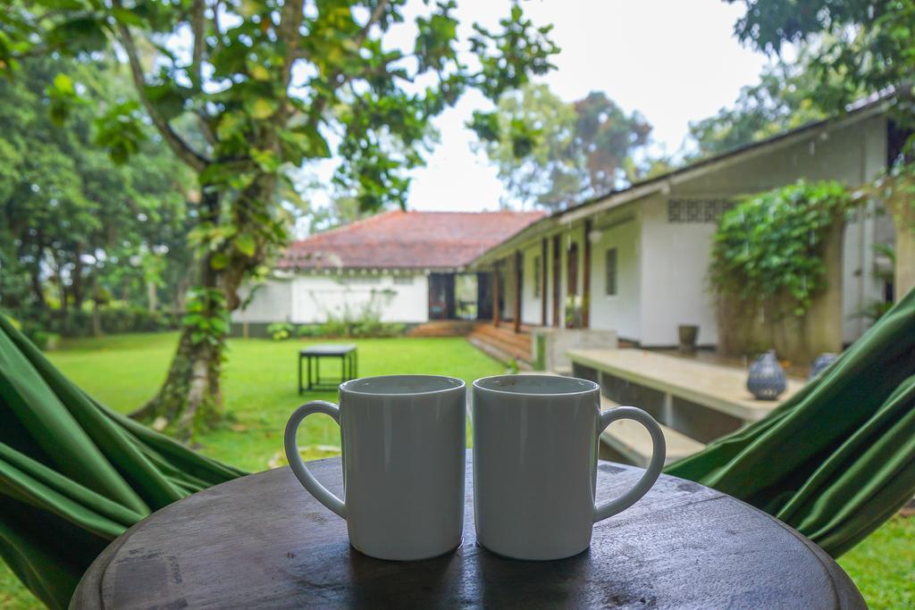 Templeberg Bed & Breakfast Walahanduwa Eksteriør bilde